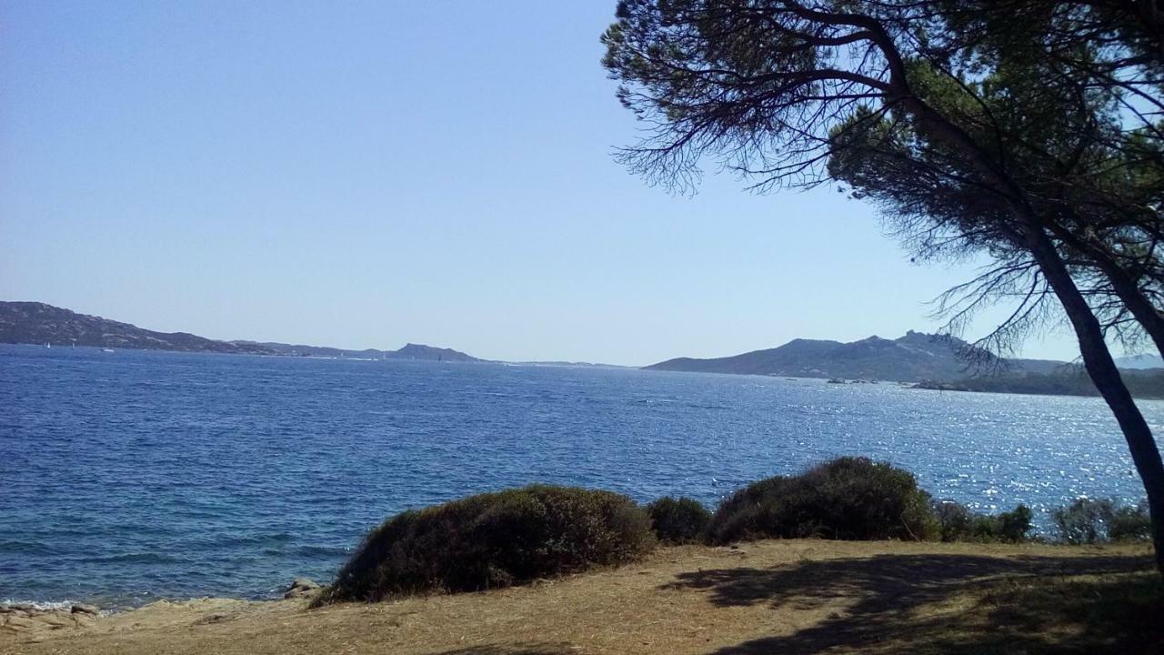 Dei Lestrigoni Daire Palau Dış mekan fotoğraf